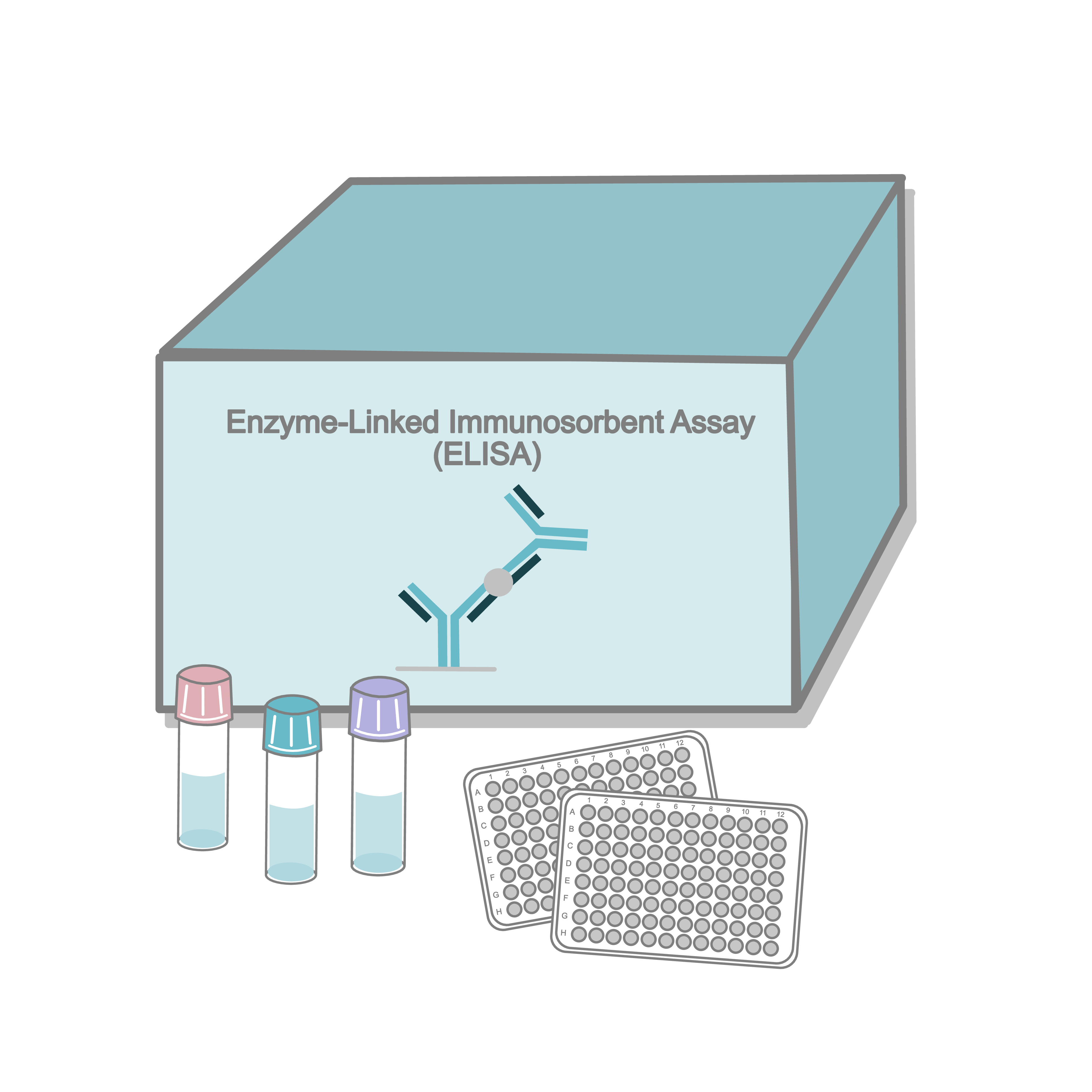 Pipette dispensing into wells of an ELISA microplate