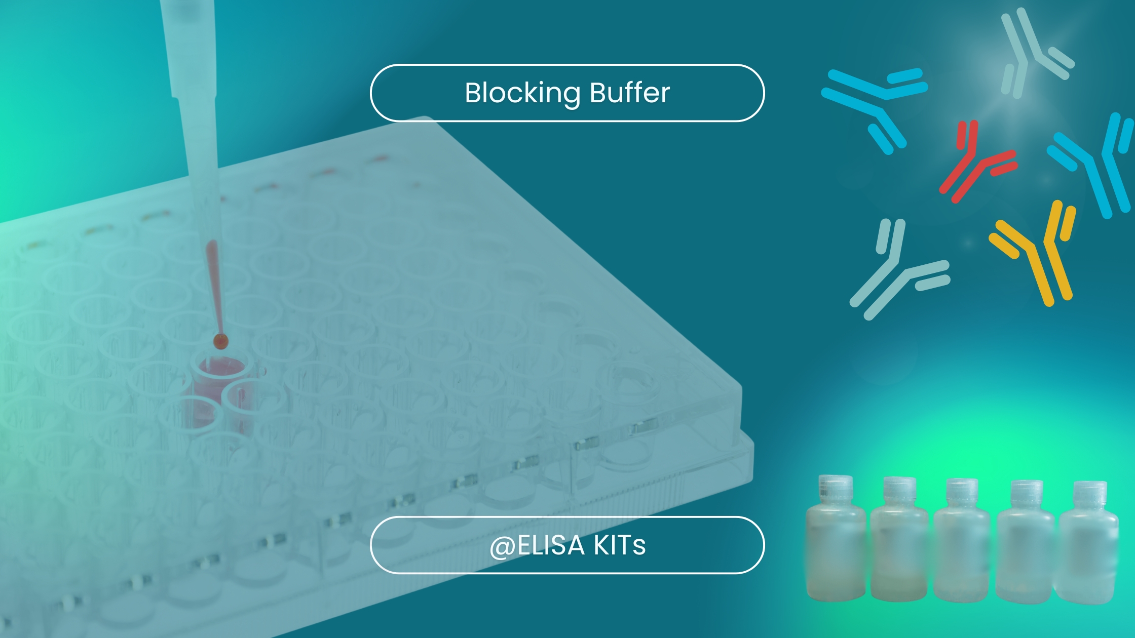 blocking buffers in ELISA kits