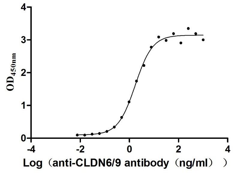 CLDN6 Biological Activity Assay