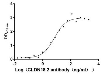CLDN18.2 Biological Activity ELISA