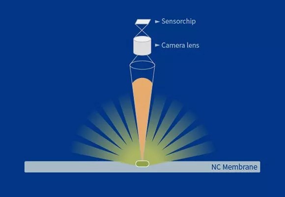 Cooled CCD Western Blot diagram