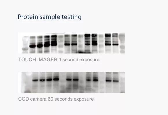 Protein sample testing — Touch Imager vs cooled CCD (right panel)