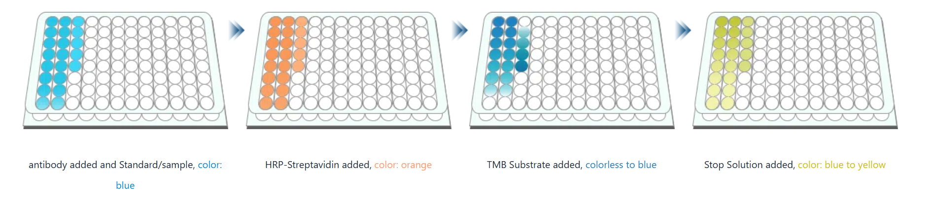 ELISA Kit