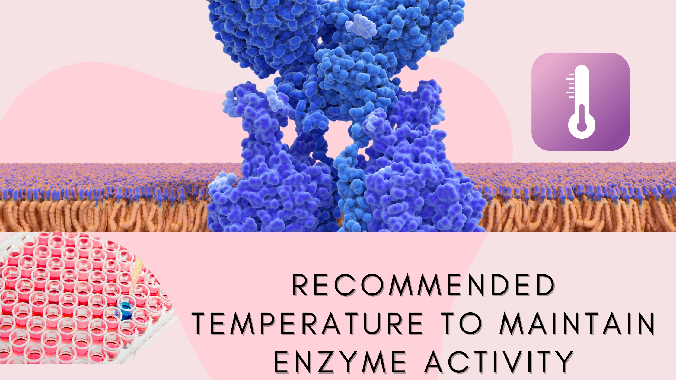 temperature enzyme and ELISA 